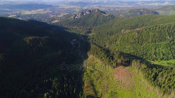 Lot nad lasów w górach — Wideo stockowe