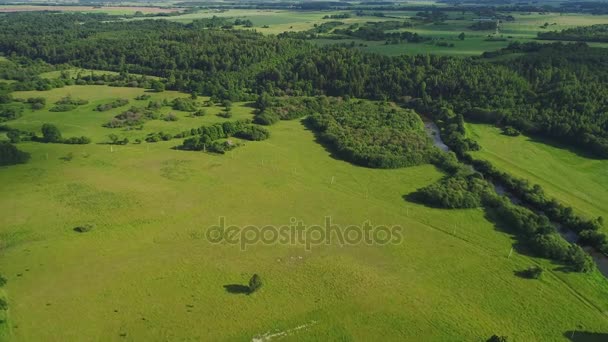 Flight over river in meadows — Stock Video