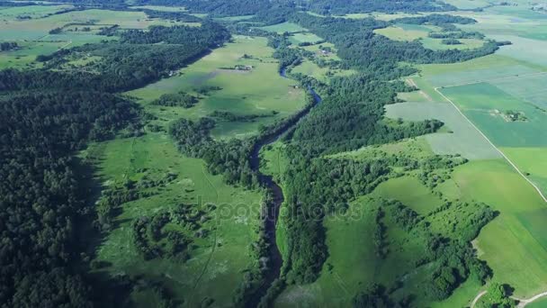 Vuelo sobre el río en los prados — Vídeo de stock