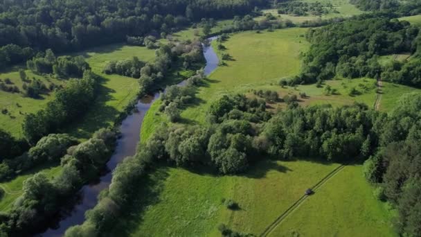 Vuelo sobre el río en los prados — Vídeo de stock