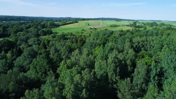 Luchtfoto van de groene weiden — Stockvideo