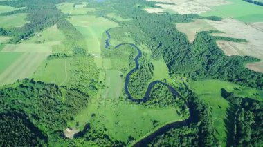 Nehirde çayırlar üzerinde uçuş