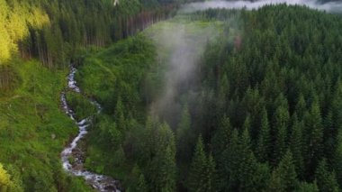 Orman dağlarında üzerinde uçuş