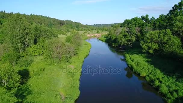 Flight over river in meadows — Stock Video