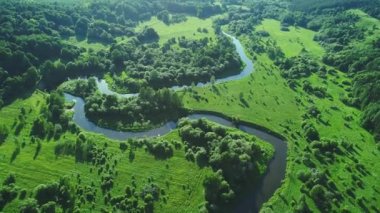 Nehirde çayırlar üzerinde uçuş