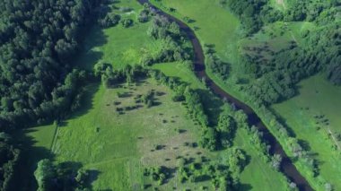 Nehirde çayırlar üzerinde uçuş