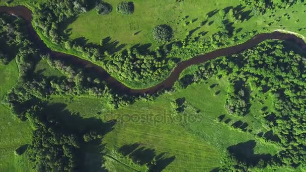 Vuelo sobre el río en los prados — Vídeos de Stock