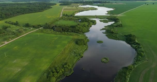 Río por la mañana Vista de los pájaros — Vídeos de Stock