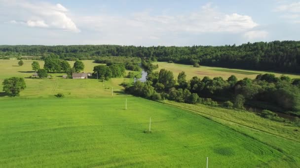 Přelet nad řekou v loukách — Stock video