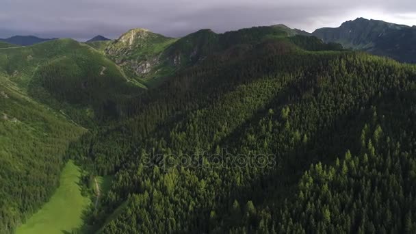 Політ над лісом в горах — стокове відео