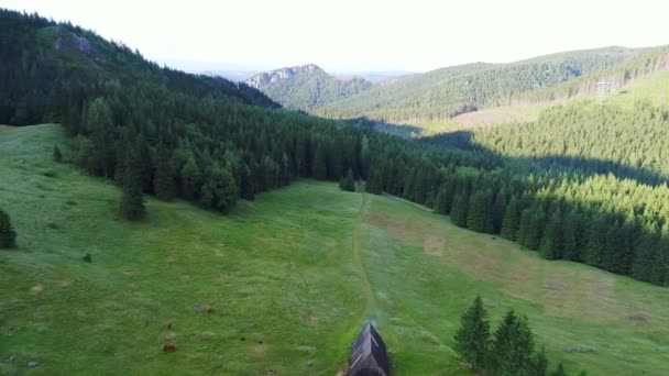 Vuelo sobre el bosque en las montañas — Vídeo de stock