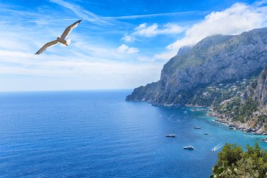 Kayalar ve deniz mavi gökyüzü altında