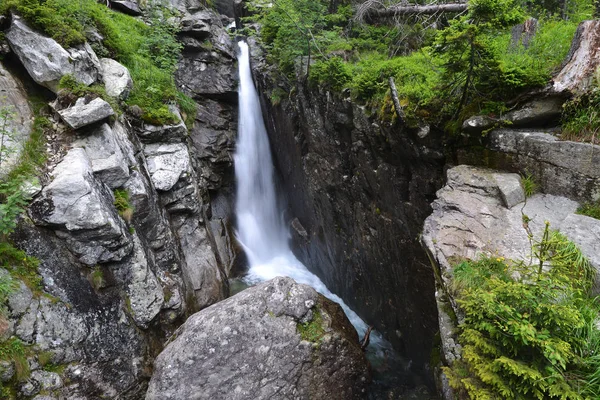 Creek with running water — Stock Photo, Image