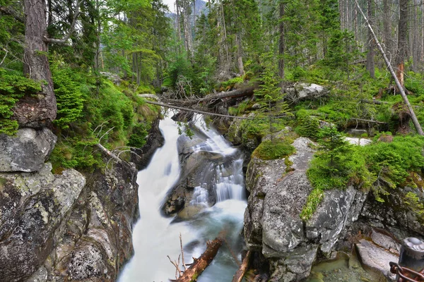 Creek with running water — Stock Photo, Image