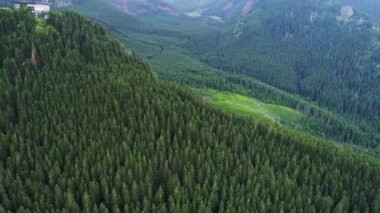 Orman dağlarında üzerinde uçuş