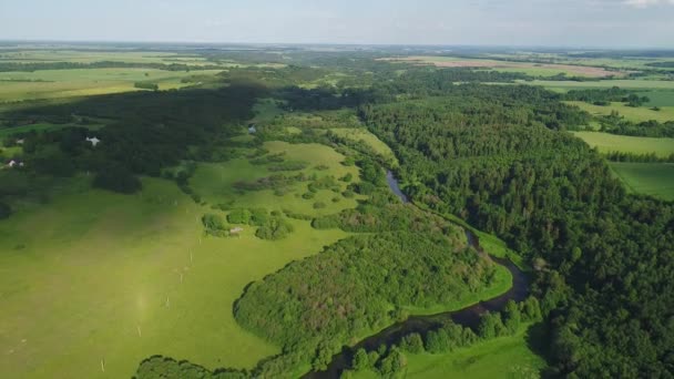 Vuelo sobre el río en los prados — Vídeo de stock