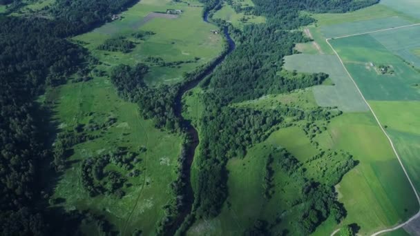 Vuelo sobre el río en los prados — Vídeo de stock