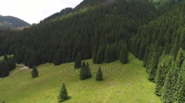 Orman dağlarında üzerinde uçuş