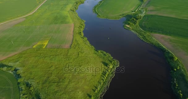 Floden på morgonen Birds eye view — Stockvideo