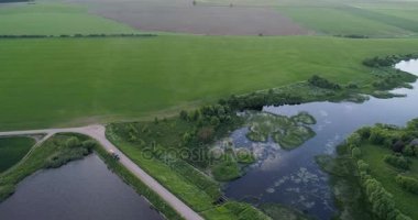 Kuş görünümü göz sabah nehirde