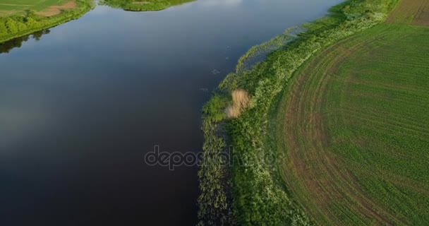 Río por la mañana Vista de los pájaros — Vídeo de stock