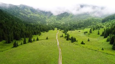 Orman dağlarında üzerinde uçuş