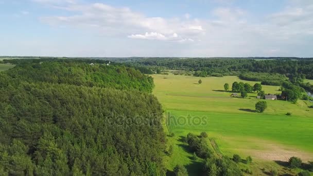 Zöld rétek légifelvételek — Stock videók