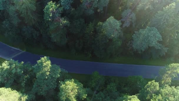 Вид с воздуха на спортивный автомобиль в лесу — стоковое видео