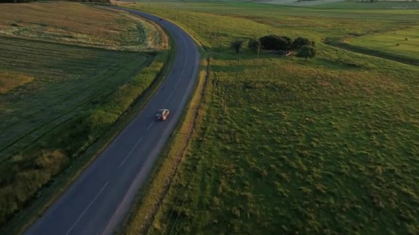 Вид с воздуха на спортивный автомобиль в полях — стоковое видео