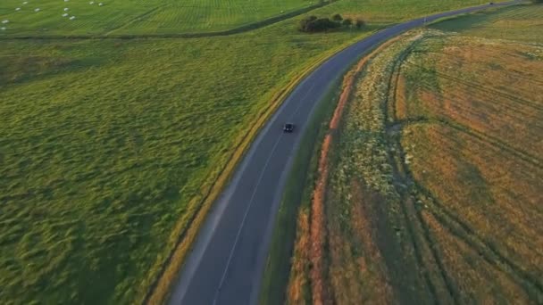 Aerial view of sport car driving in fields — Stock Video
