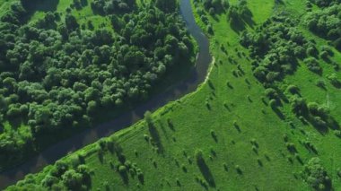 Nehirde çayırlar üzerinde uçuş