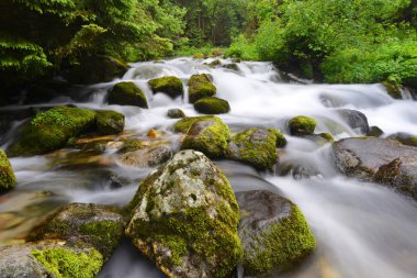 dağlarda akan su ile dere