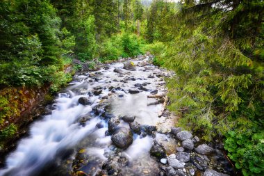 dağlarda akan su ile dere