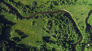  alan, ağaçlar ve nehir