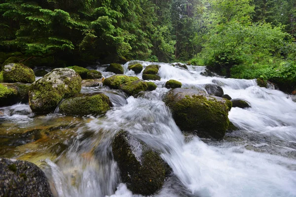 Creek with running water in mountains — Stock Photo, Image