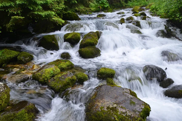 Creek z bieżącą wodą, w górach — Zdjęcie stockowe