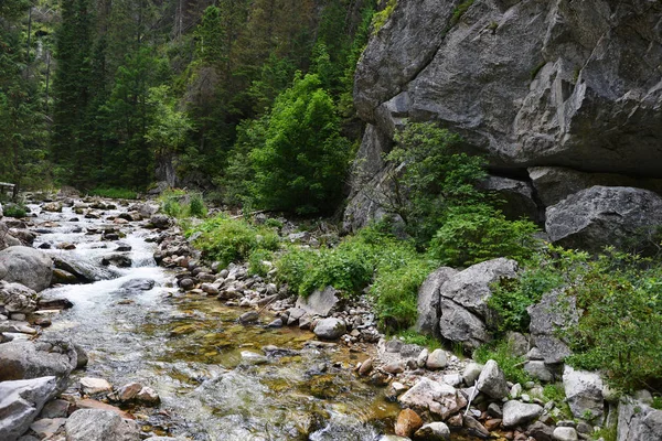 Ruisseau avec de l'eau courante en montagne — Photo