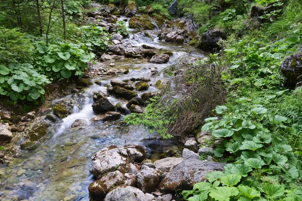 Ruisseau avec de l'eau courante en montagne — Photo