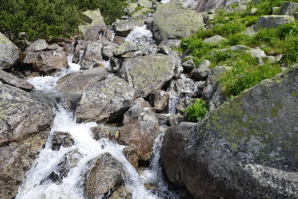 Creek with running water in mountains — Stock Photo, Image
