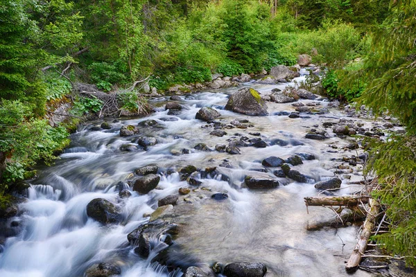 Pârâu cu apă curgătoare în munți — Fotografie, imagine de stoc