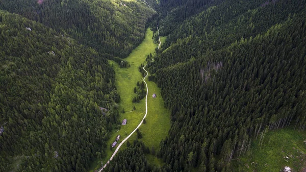 ormanlık Dağları eteklerinde