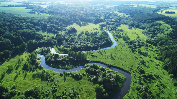 Feld, Bäume und Fluss — Stockfoto