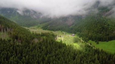 Orman dağlarında üzerinde uçuş