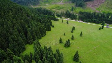 Orman dağlarında üzerinde uçuş