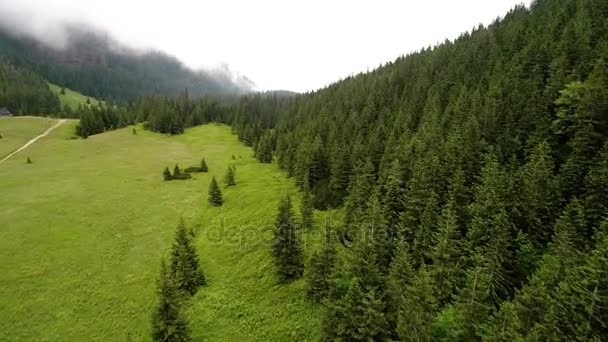 Vuelo sobre el bosque en las montañas — Vídeo de stock