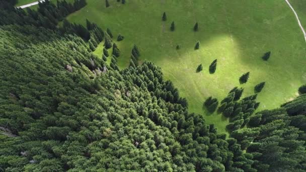 Voo sobre a floresta nas montanhas — Vídeo de Stock