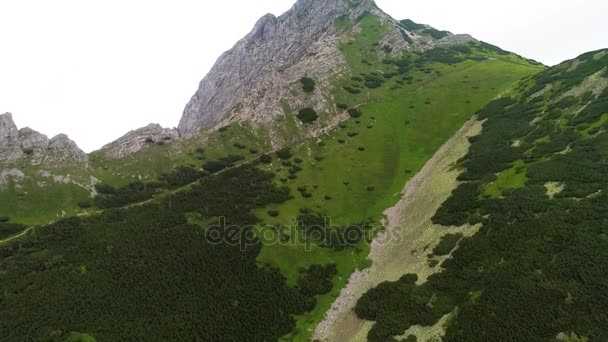 Flight in mountains near Gewont peak — Stock Video