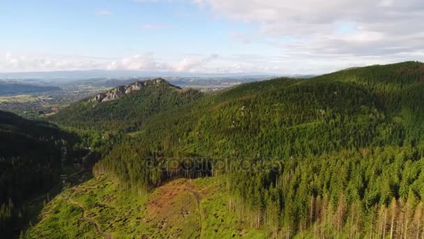 Vuelo sobre el bosque en las montañas — Vídeos de Stock