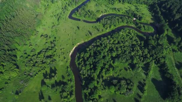 Volo sul fiume nei prati — Video Stock