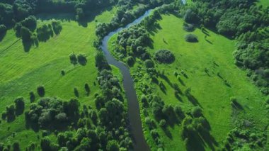 Nehirde çayırlar üzerinde uçuş